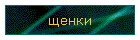 щенки